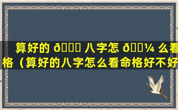 算好的 🐘 八字怎 🐼 么看命格（算好的八字怎么看命格好不好）